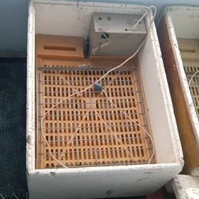 Enkobator