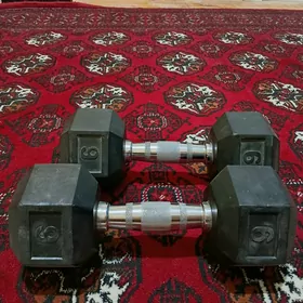 gantel.