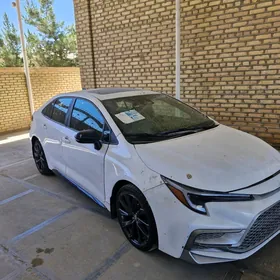 Toyota Corolla 2024
