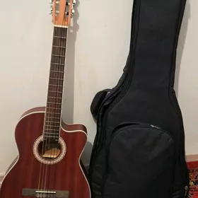 Gitara Agostini turk