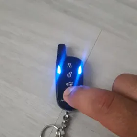 MACIKAR PULT