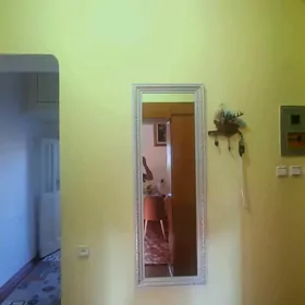 ýüz gorulyan ayna