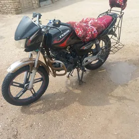 Fekon FK150-8G 2013