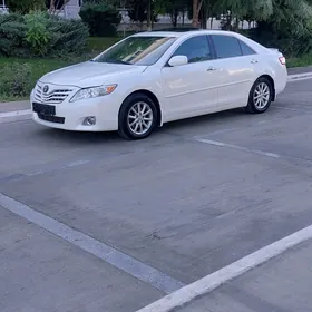 Toyota Camry 2010