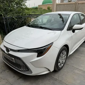 Toyota Corolla 2020