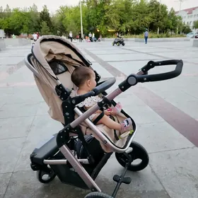 Kolaska Zima leta