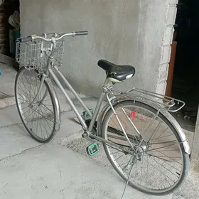 ady ýaponiski tigir