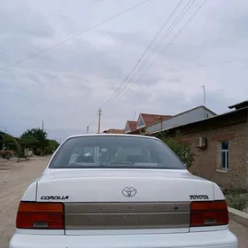 Toyota Corolla 1993