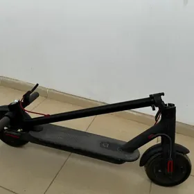 ni samokat