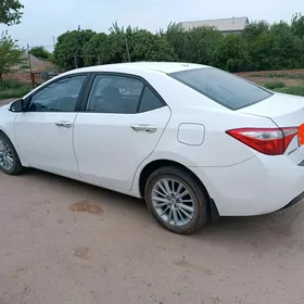 Toyota Corolla 2014