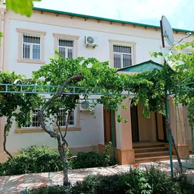 Arenda kosi bay oba kotez