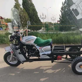 Fekon FK200-14G 2023