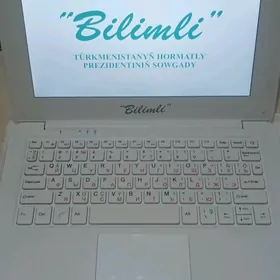 Blimli kampyuter