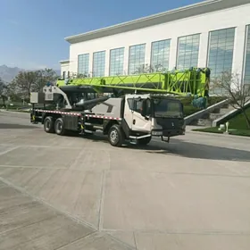 Zoomlion ZTC250V531 2025