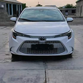 Toyota Corolla 2023