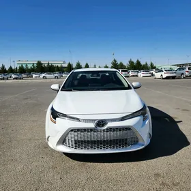 Toyota Corolla 2020