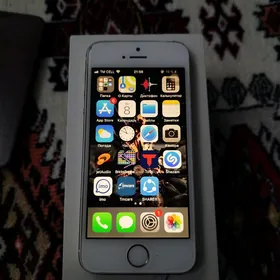 iPhone 5s