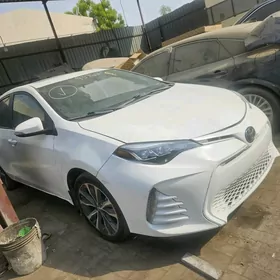 Toyota carollla ABS 2017-2019
