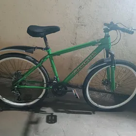 Turkmenistan tigir