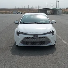 Toyota Corolla 2020