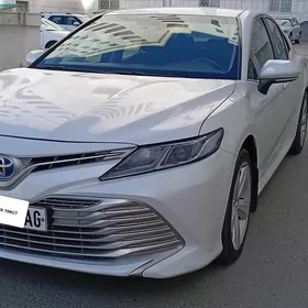 Toyota Camry 2019