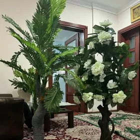Dekorotiwnyy gül