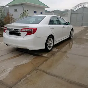Toyota Camry 2013
