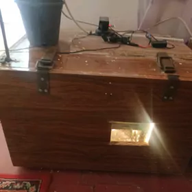 inkubator