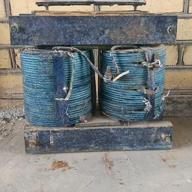 tok kopekdilyan