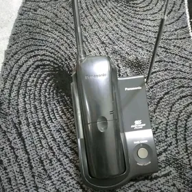 Panasonic dom.tel.