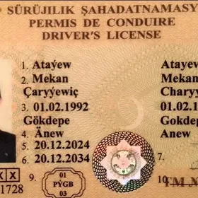 iş gözleyan