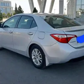 Toyota Corolla 2014