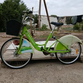 Daș kamyr 24-lik