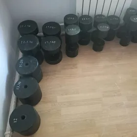 Gantel, ştanga, turnik,...