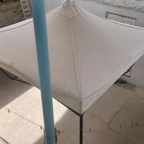 zontik