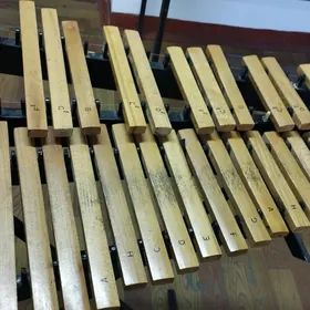 instrument