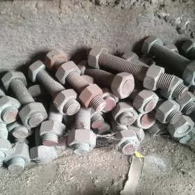 Bolt gayka.
