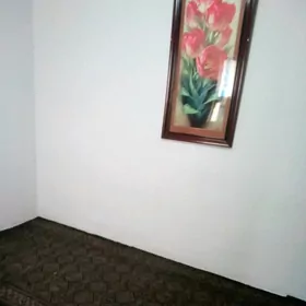 kireýna jaý wir miýanka