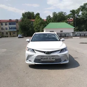 Toyota Camry 2019