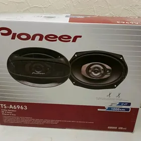 Pioneer kalonka 6963