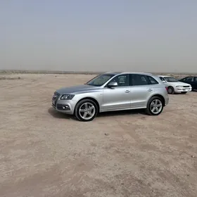 Audi Q5 2010
