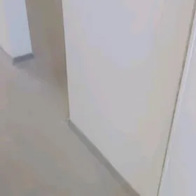 Jay