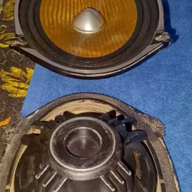 pioneer korrezia kalonka