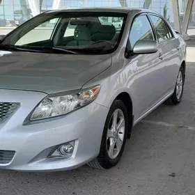 Toyota Corolla 2010