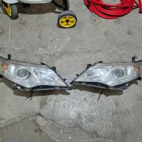 fara cyra palta camry