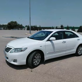 Toyota Camry 2010