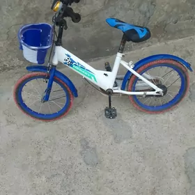 16 lyk