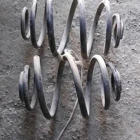 Opel puržyn yzky