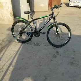 Welosiped sportivny