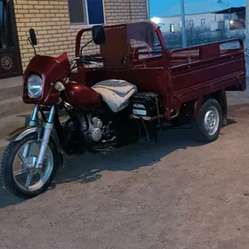 Fekon FK150-8G 2013